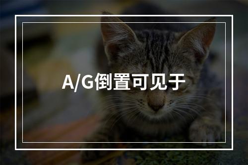 A/G倒置可见于