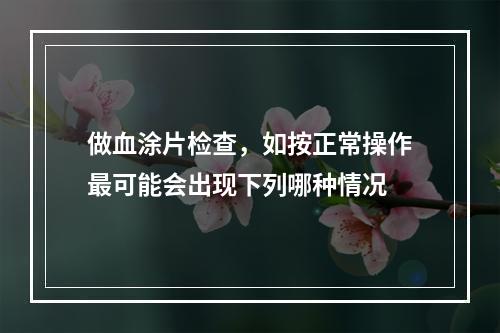 做血涂片检查，如按正常操作最可能会出现下列哪种情况