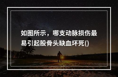 如图所示，哪支动脉损伤最易引起股骨头缺血坏死()