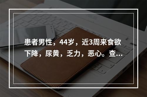 患者男性，44岁，近3周来食欲下降，尿黄，乏力，恶心。查体：