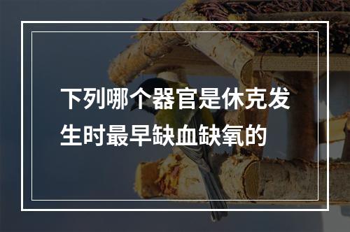 下列哪个器官是休克发生时最早缺血缺氧的