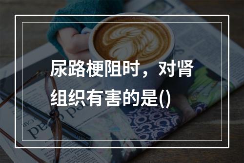 尿路梗阻时，对肾组织有害的是()