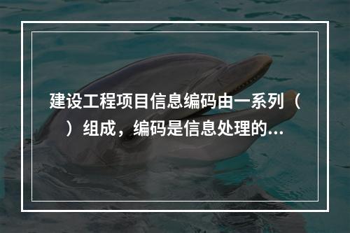 建设工程项目信息编码由一系列（　）组成，编码是信息处理的一项