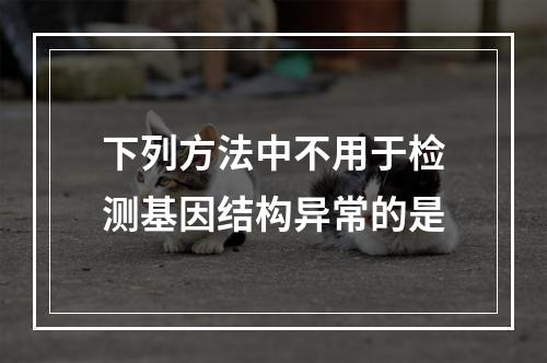 下列方法中不用于检测基因结构异常的是