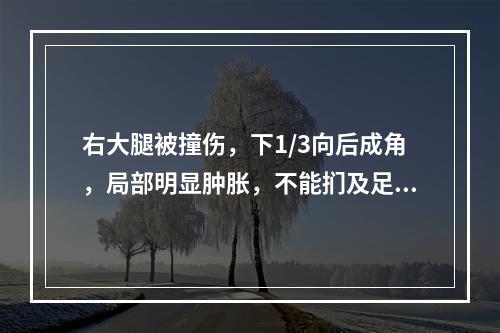 右大腿被撞伤，下1/3向后成角，局部明显肿胀，不能扪及足背动