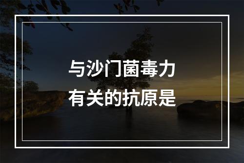 与沙门菌毒力有关的抗原是