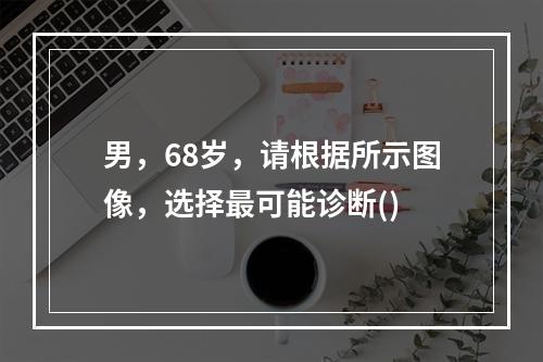 男，68岁，请根据所示图像，选择最可能诊断()