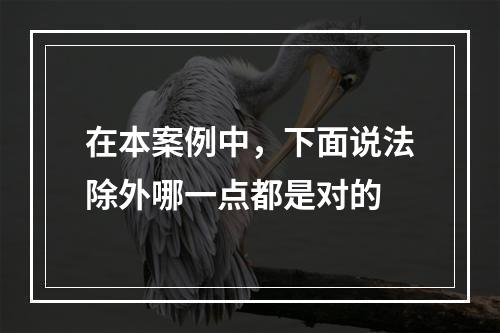 在本案例中，下面说法除外哪一点都是对的