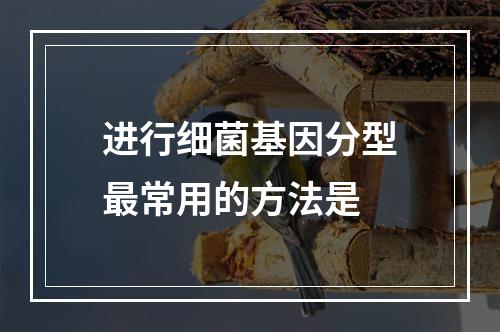 进行细菌基因分型最常用的方法是