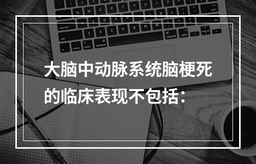 大脑中动脉系统脑梗死的临床表现不包括：