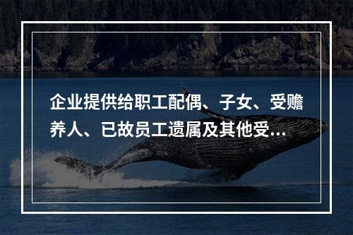 企业提供给职工配偶、子女、受赡养人、已故员工遗属及其他受益人