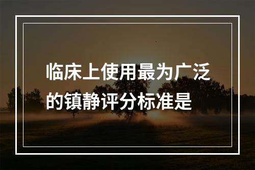 临床上使用最为广泛的镇静评分标准是