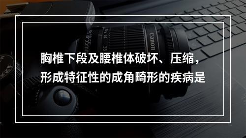 胸椎下段及腰椎体破坏、压缩，形成特征性的成角畸形的疾病是