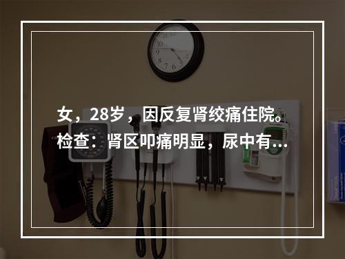 女，28岁，因反复肾绞痛住院。检查：肾区叩痛明显，尿中有许多