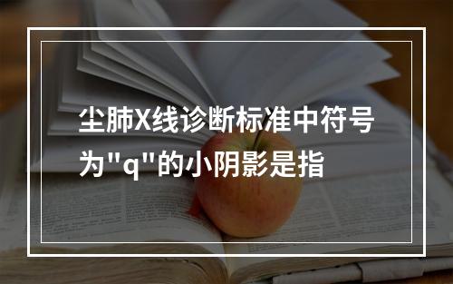 尘肺X线诊断标准中符号为