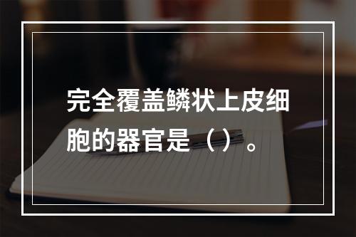 完全覆盖鳞状上皮细胞的器官是（ ）。