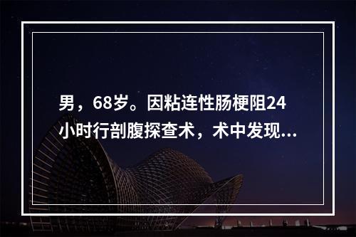 男，68岁。因粘连性肠梗阻24小时行剖腹探查术，术中发现肠系