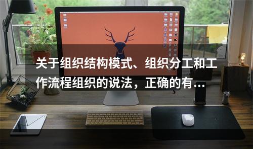 关于组织结构模式、组织分工和工作流程组织的说法，正确的有（　