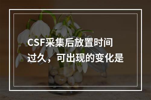 CSF采集后放置时间过久，可出现的变化是