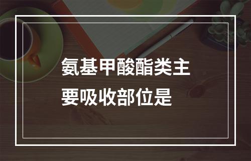 氨基甲酸酯类主要吸收部位是