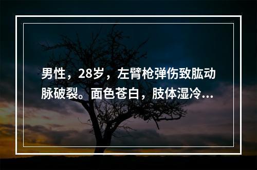 男性，28岁，左臂枪弹伤致肱动脉破裂。面色苍白，肢体湿冷，有