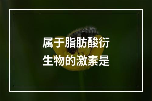 属于脂肪酸衍生物的激素是