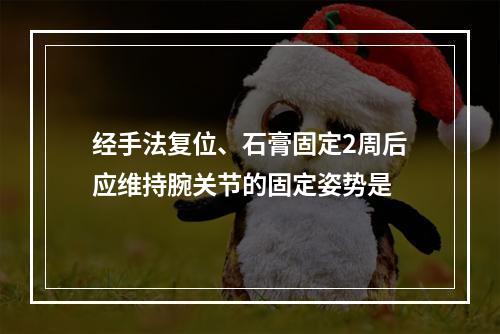 经手法复位、石膏固定2周后应维持腕关节的固定姿势是