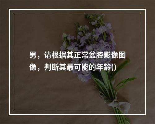 男，请根据其正常盆腔影像图像，判断其最可能的年龄()