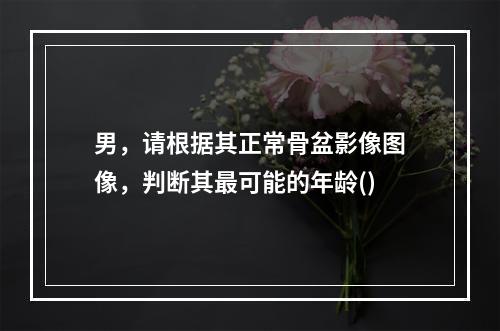 男，请根据其正常骨盆影像图像，判断其最可能的年龄()