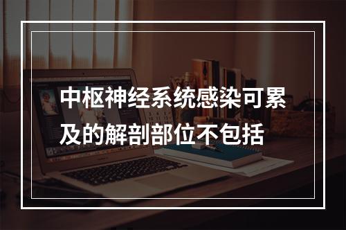 中枢神经系统感染可累及的解剖部位不包括