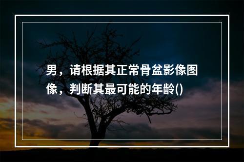 男，请根据其正常骨盆影像图像，判断其最可能的年龄()