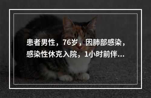 患者男性，76岁，因肺部感染，感染性休克入院，1小时前伴发上