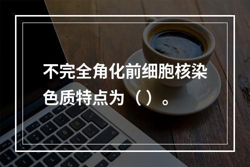 不完全角化前细胞核染色质特点为（ ）。