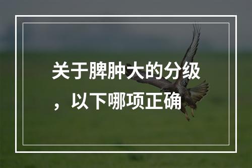 关于脾肿大的分级，以下哪项正确