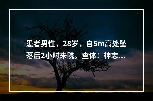 患者男性，28岁，自5m高处坠落后2小时来院。查体：神志清醒