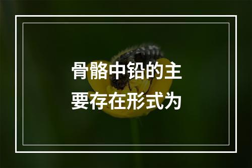 骨骼中铅的主要存在形式为