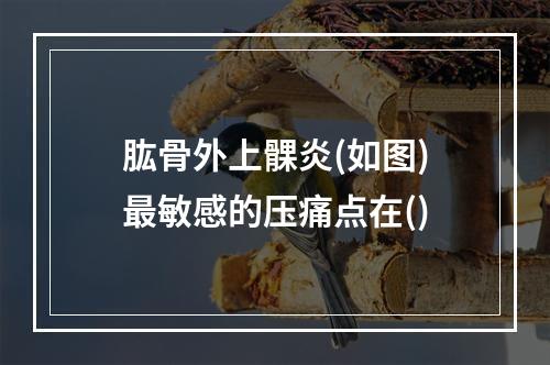 肱骨外上髁炎(如图)最敏感的压痛点在()