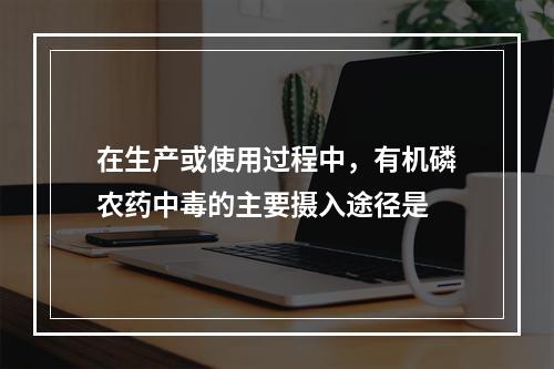 在生产或使用过程中，有机磷农药中毒的主要摄入途径是