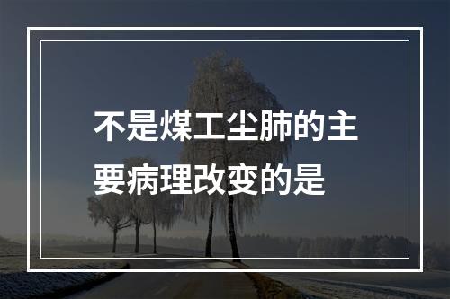 不是煤工尘肺的主要病理改变的是