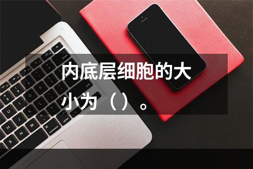 内底层细胞的大小为（ ）。