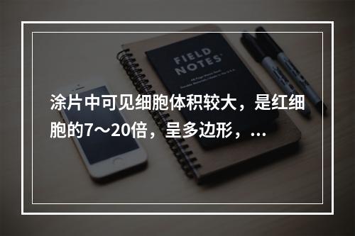 涂片中可见细胞体积较大，是红细胞的7～20倍，呈多边形，胞膜