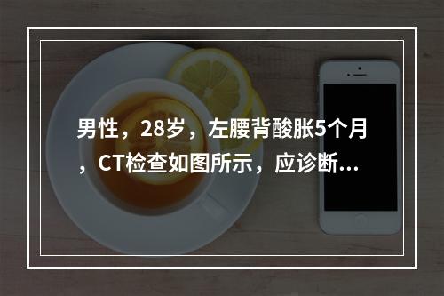 男性，28岁，左腰背酸胀5个月，CT检查如图所示，应诊断为(