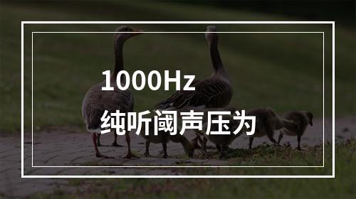 1000Hz纯听阈声压为