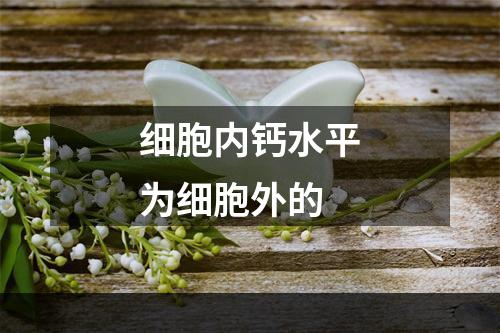 细胞内钙水平为细胞外的