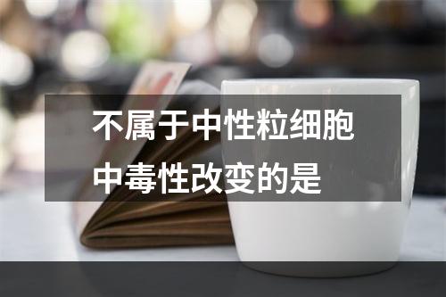 不属于中性粒细胞中毒性改变的是