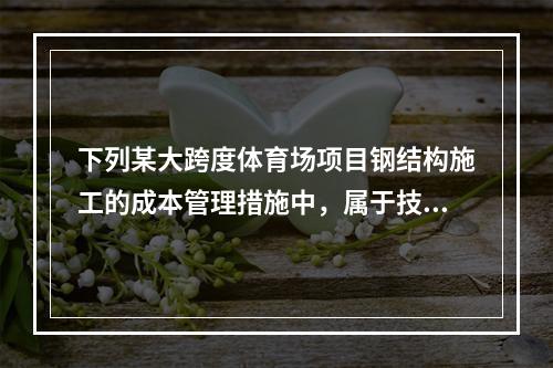 下列某大跨度体育场项目钢结构施工的成本管理措施中，属于技术措