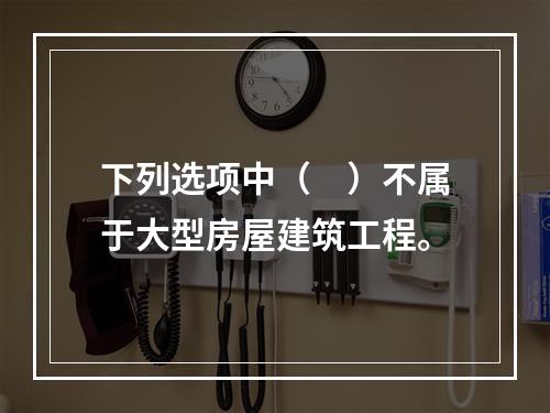 下列选项中（　）不属于大型房屋建筑工程。