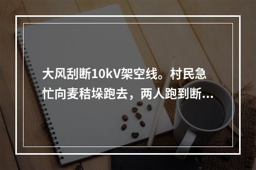 大风刮断10kV架空线。村民急忙向麦秸垛跑去，两人跑到断落导