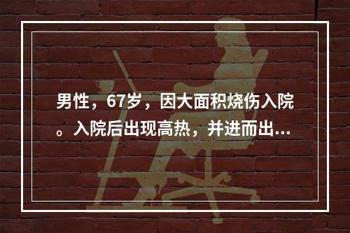 男性，67岁，因大面积烧伤入院。入院后出现高热，并进而出现呼