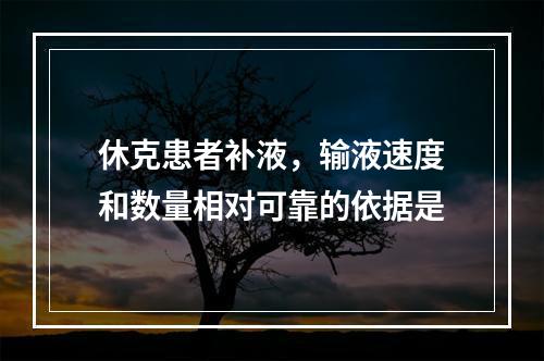 休克患者补液，输液速度和数量相对可靠的依据是